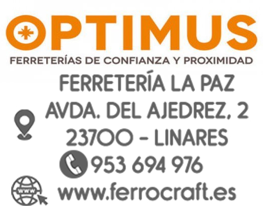 II Torneo Andaluz Infantil El Carpio